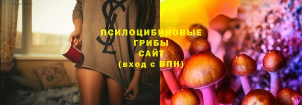 a pvp Алзамай