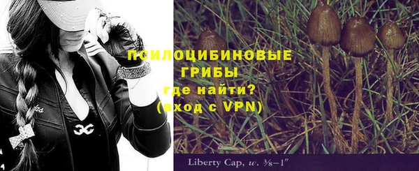 шишки Алексин