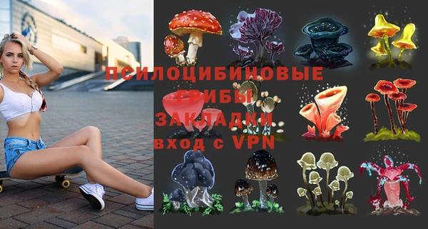спиды Алексеевка