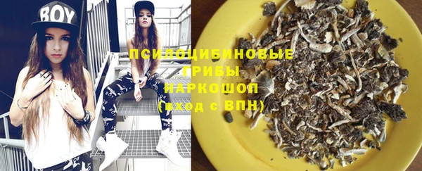 спиды Алексеевка