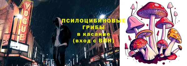 спиды Алексеевка